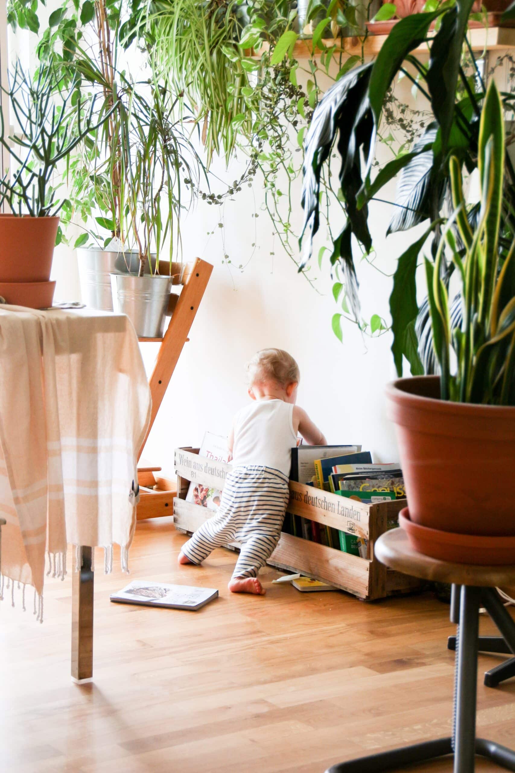 Baby-Toddler-scaled-1