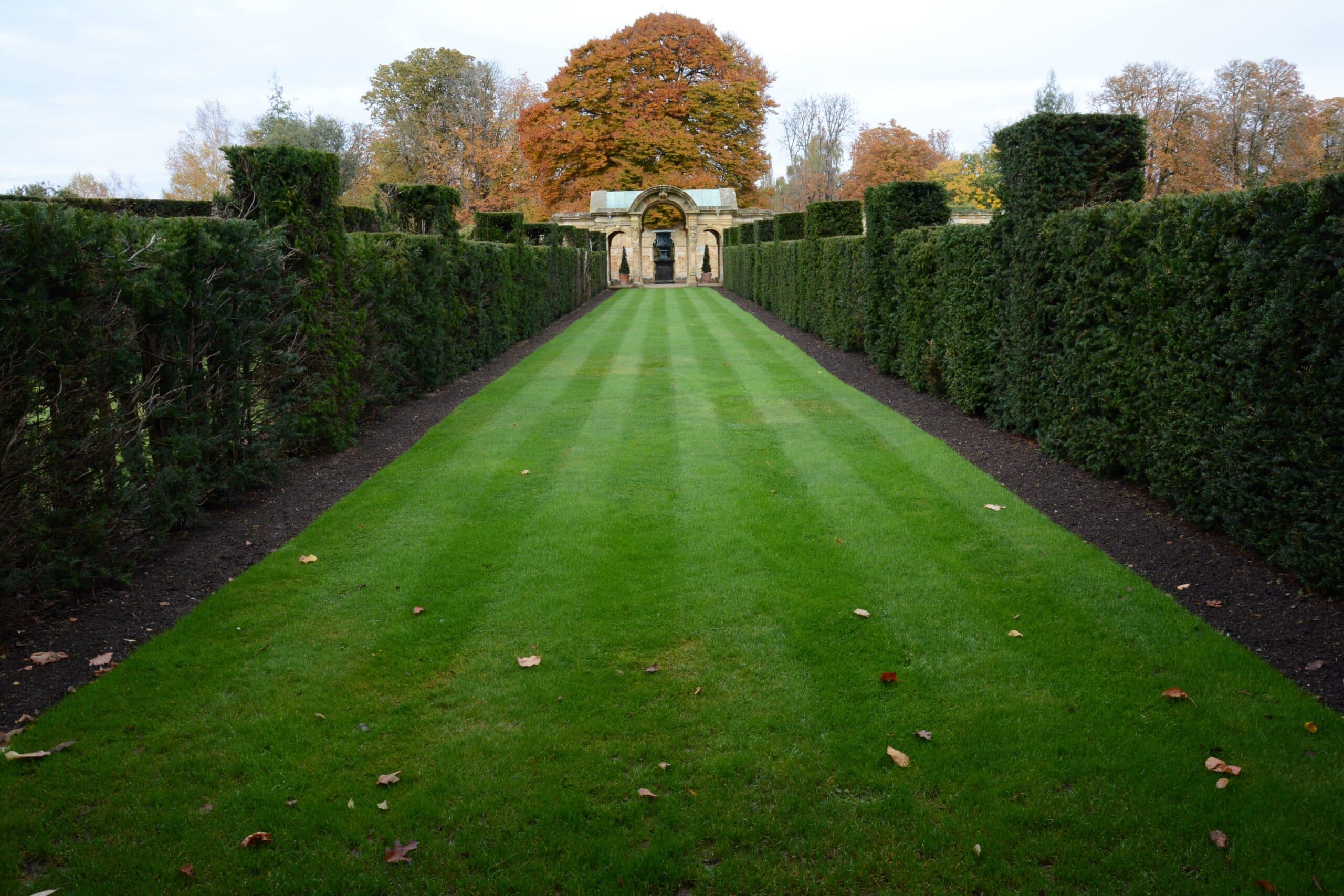 Lawn-Garden-scaled-2