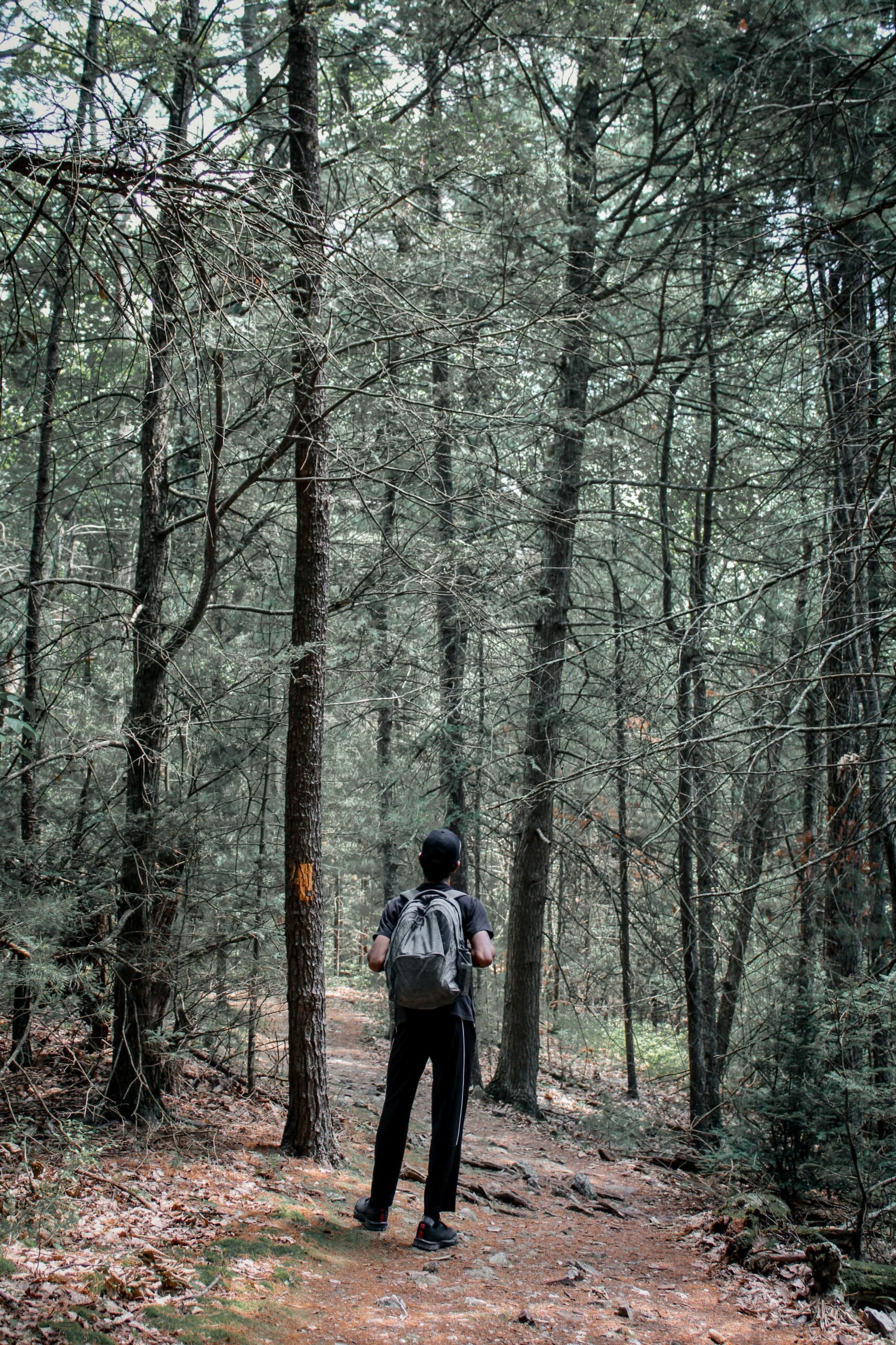 Outdoor-Recreation-scaled-1