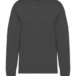 Native Spirit Oversized Sweatshirt