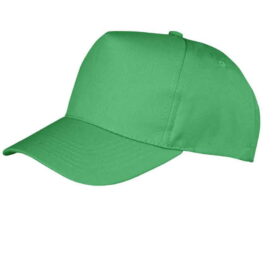 Result Boston 5 Panel Printers Cap - Apple Green