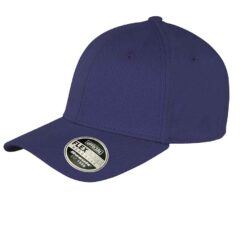 Result Kansas Flex Cap