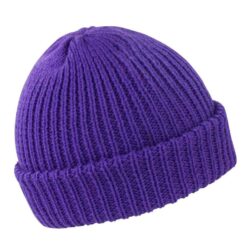 Result Whistler Hat - Purple