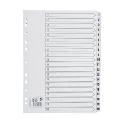 5 Star Office Index Dividers 1-20 Multipunched Tabs