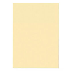 Blake Premium Business Paper Vellum Laid 120gsm