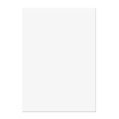 Blake Premium Business Paper Brilliant White Wove 120gsm