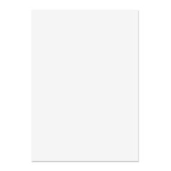 Blake Premium Business Paper Ice White Wove 120gsm