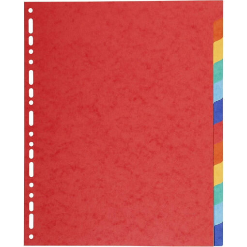 Exacompta Forever A4+ Extra Wide 6 Part Dividers