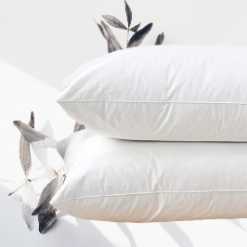 Medium Firm Pillow 2 Pack Egyptian Cotton Cover