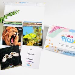 Teddo Play - What's the Word for That Sound Learning Cards  Set